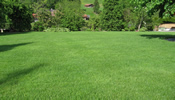 Gartenpflege Gartenunterhalt